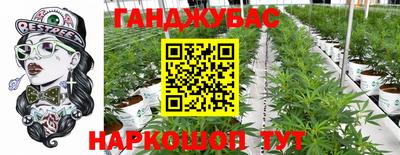 альфа пвп Заводоуковск