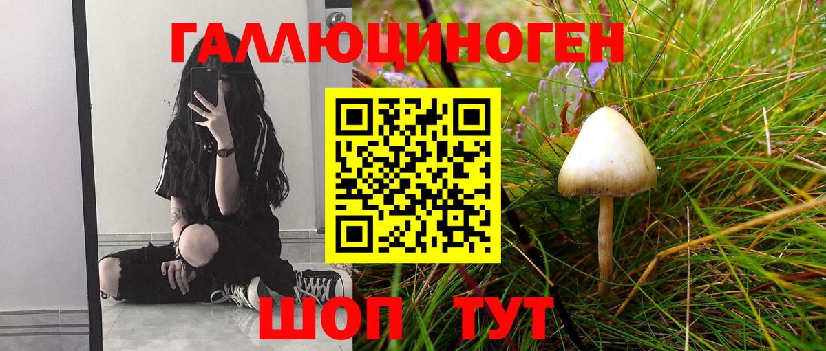 Псилоцибиновые грибы мухоморы Майский