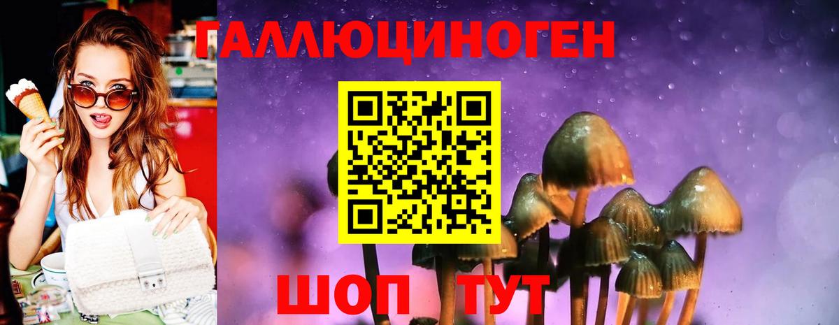 Псилоцибиновые грибы Cubensis  Вход с VPN  Майский 